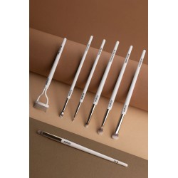 301 Lips Brush