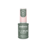 T06 Rose Laiteux