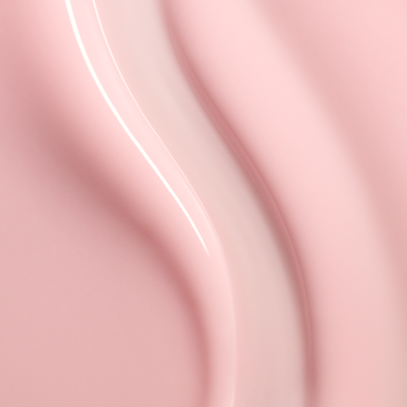 T06 Rose Laiteux