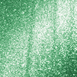 Collection Cat Eye Feline mood