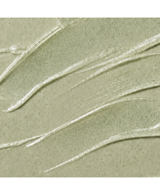 GEL EXFOLIANT PURIFIANT